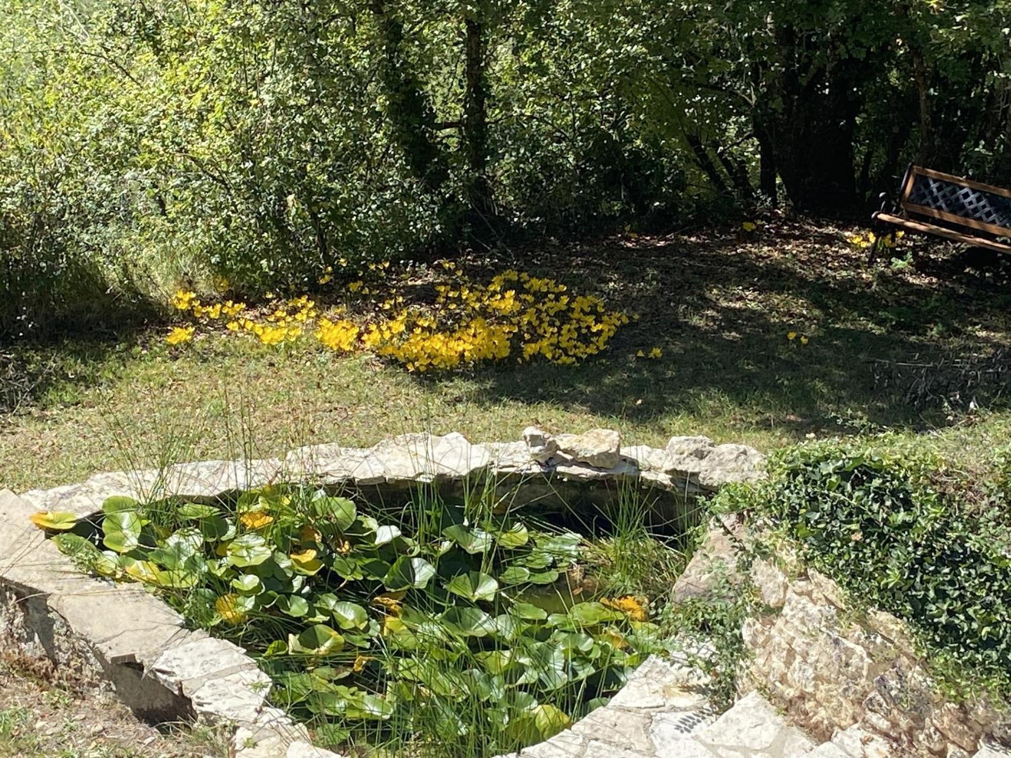 Le Manoir De St Marcel Villa Saint-Marcel-du-Périgord Cameră foto