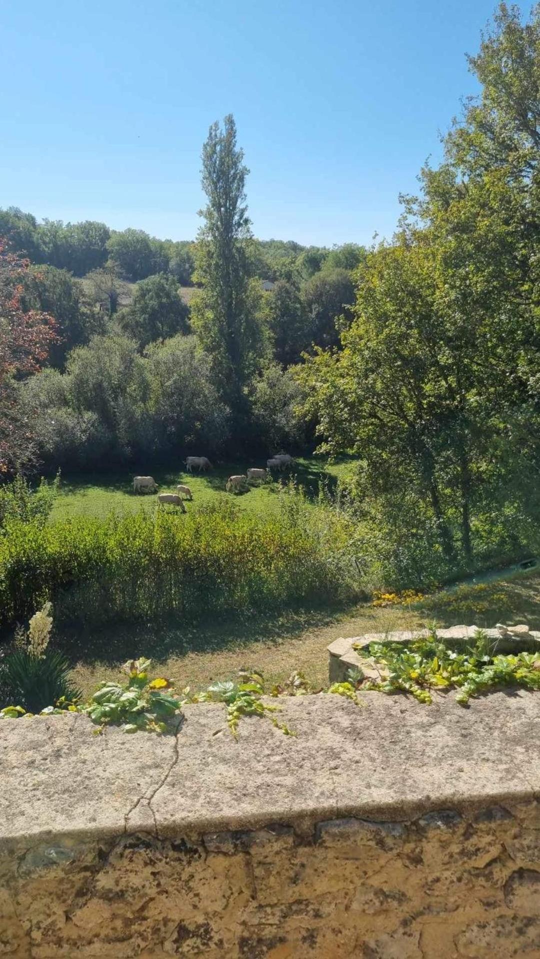 Le Manoir De St Marcel Villa Saint-Marcel-du-Périgord Cameră foto